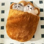 Unmatched Warmth Animal-Shaped Cat Bed - Chicken - Bear