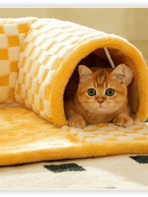 iShot_2024-12-26_14.02.22