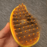 Steamy Pet Brush: Electric Spray Grooming Combo photo review