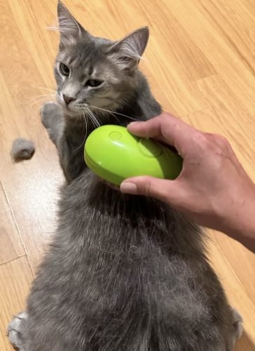 Steamy Pet Brush: Electric Spray Grooming Combo photo review