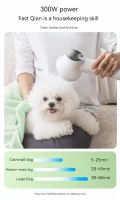 Low Noise Pet Hair Dryer with Slicker Brush