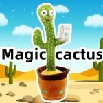 Dancing Cactus for Pets