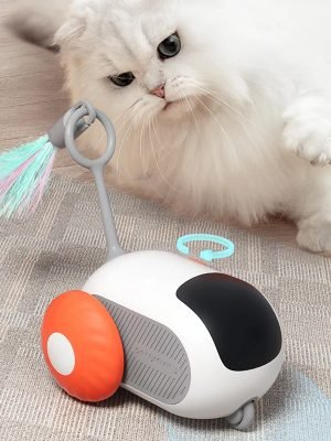 Interactive Feather Toy with Remote for Pets