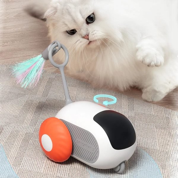 Interactive Feather Toy with Remote for Pets