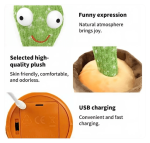 Dancing Cactus for Pets