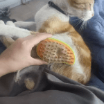 Steamy Pet Brush: Electric Spray Grooming Combo photo review