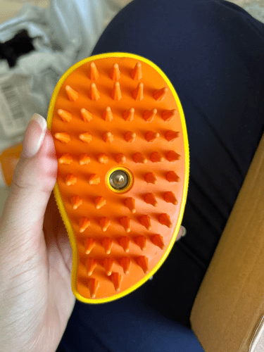 Steamy Pet Brush: Electric Spray Grooming Combo photo review