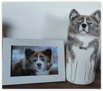 Pet Urn
