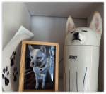 Pet Urn