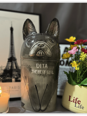 iShot_2025-05-08_12.31.50