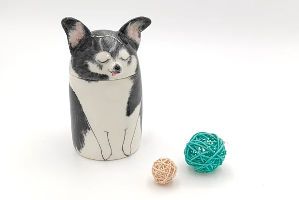 Pet Urn