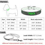 Leather Dog Collar Leash Set