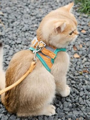 Cat Harness Leash Set