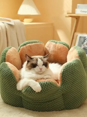 Warm Cactus Petal Pet Nest