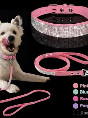 Leather Dog Collar Leash Set