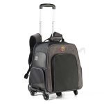 Expandable Foldable Pet Backpack