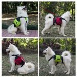 Pet Travel Saddle Bag