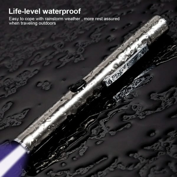 PET Veterinary (Woods Lamp) Fungus Detector