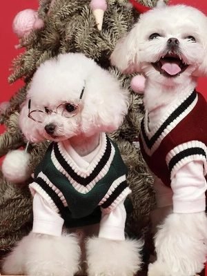 College Style Pet Sweater