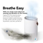 Advanced (Clean Air) Purifier