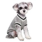 College Style Pet Sweater
