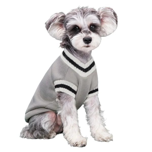 College Style Pet Sweater