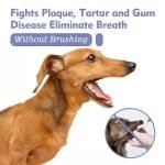 Pet Teeth Cleaning Spray