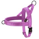 No-Pull Adjustable Dog Harness