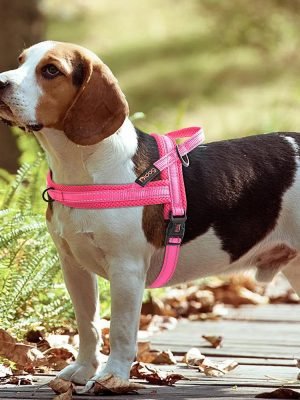 No-Pull Adjustable Dog Harness