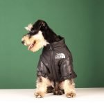 Windproof Pet Dog Jacket