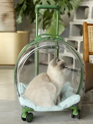 Pet Transparent Trolley