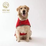 PET All Weather Dog Raincoat (Dual-sided)