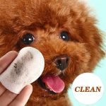 PET Eye Wipes (Cats & Dogs)