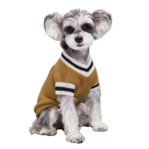 College Style Pet Sweater