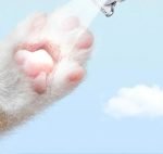 PET Pro Dog/Cat Grooming Clippers (LED Light/Display/Low-noise)