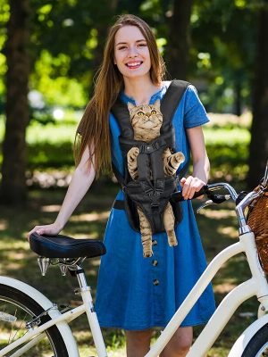 Pet Travel - Carrier