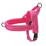 No-Pull Adjustable Dog Harness