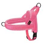 No-Pull Adjustable Dog Harness