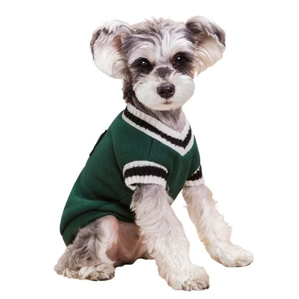 College Style Pet Sweater