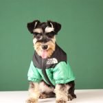 Windproof Pet Dog Jacket