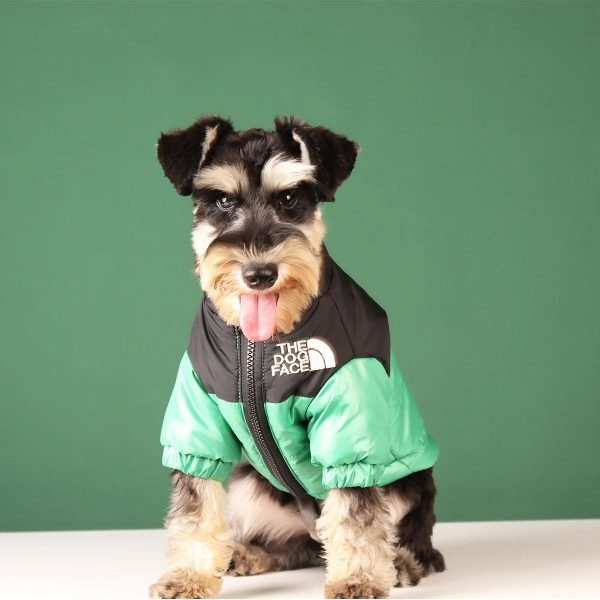 Windproof Pet Dog Jacket