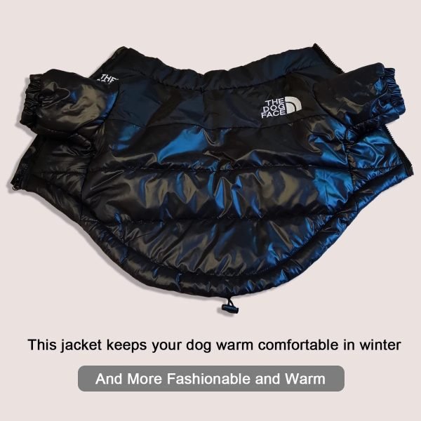 Windproof Pet Dog Jacket
