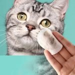 PET Eye Wipes (Cats & Dogs)