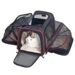 Pet Carrier - Travel (Foldable) Bag