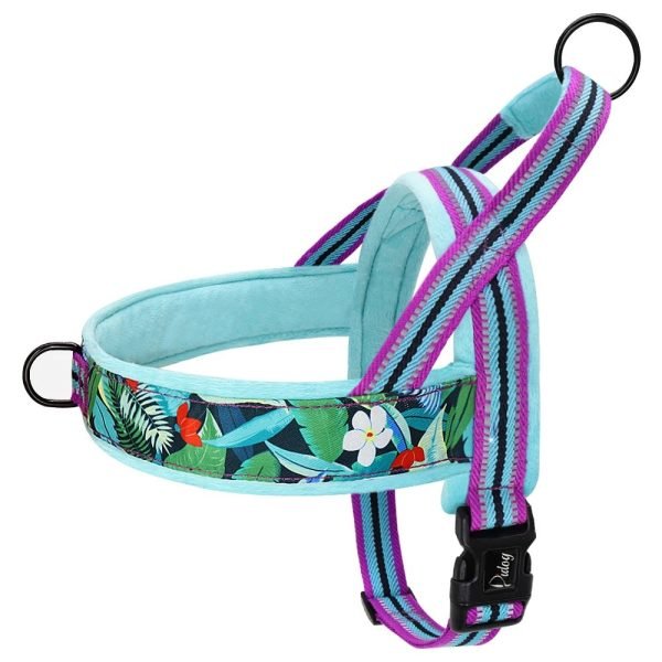 No-Pull Adjustable Dog Harness