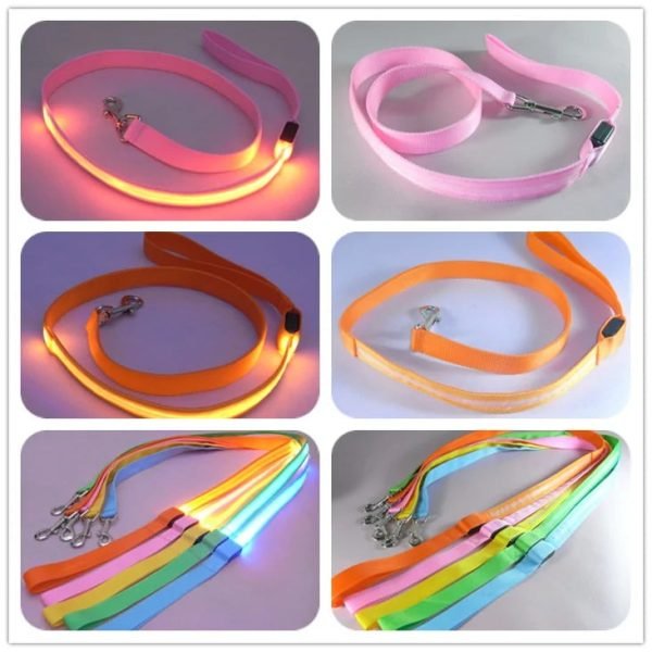 Glow In Dark Dog Leash