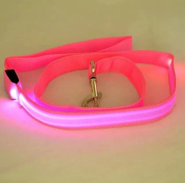 LED Dog Leash Rope