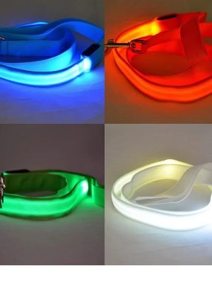 Reflective LED Dog Leash