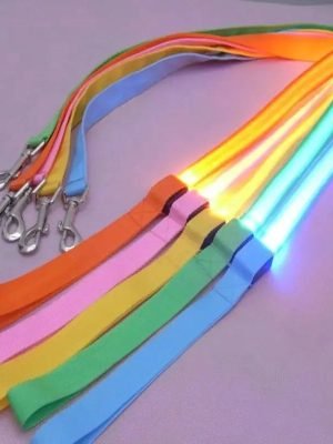 LED Dog Leash Rope