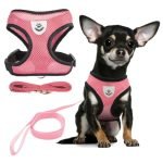 Adjustable Dog Harness （H0001）